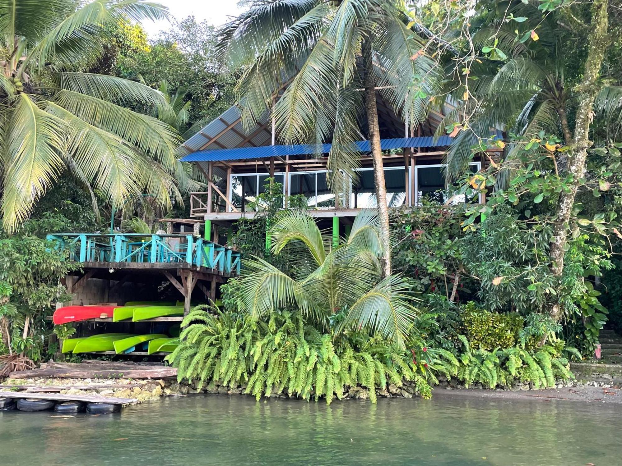 Palmeras Del Rio Hotel La Viña エクステリア 写真