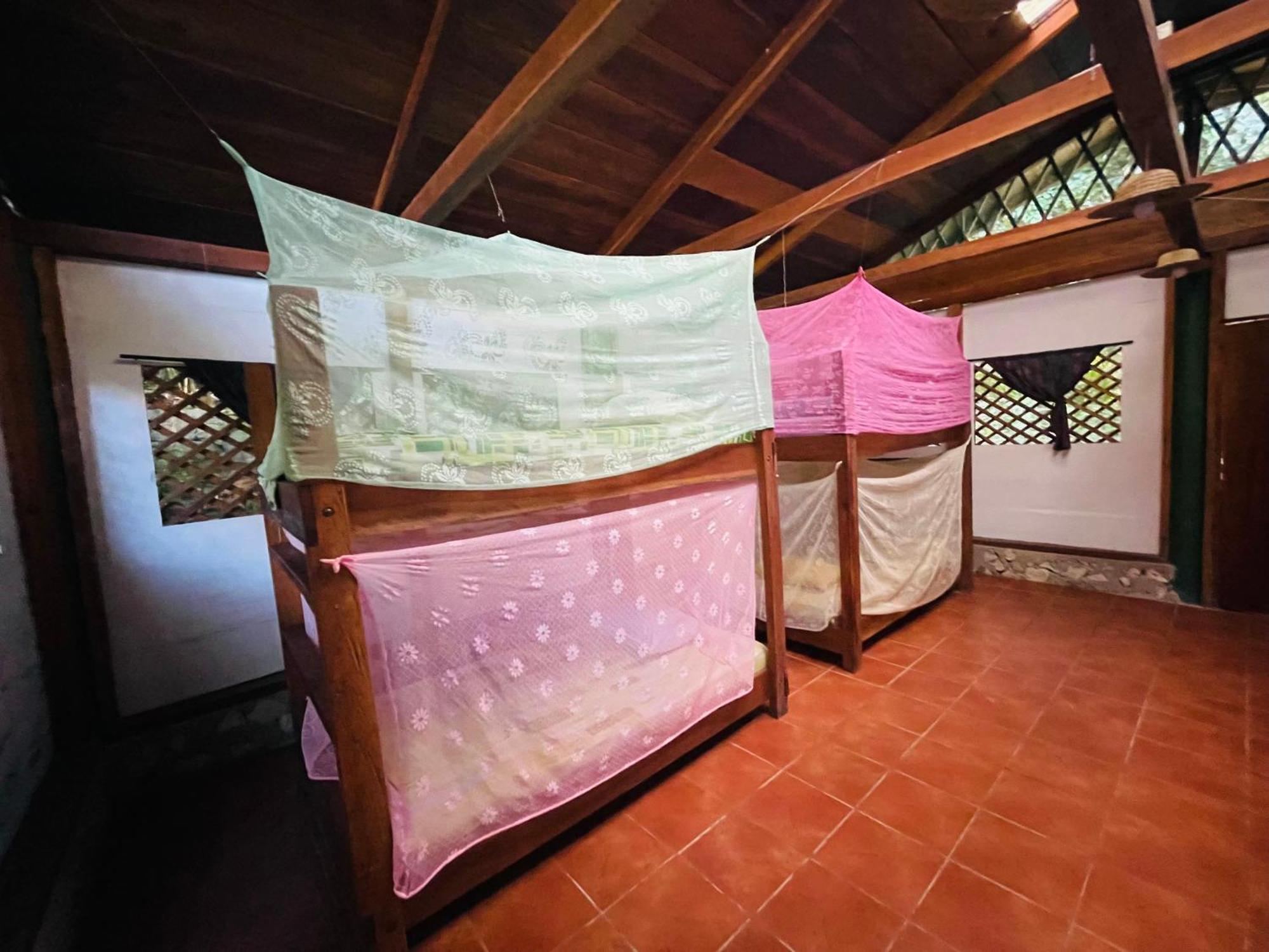Palmeras Del Rio Hotel La Viña エクステリア 写真