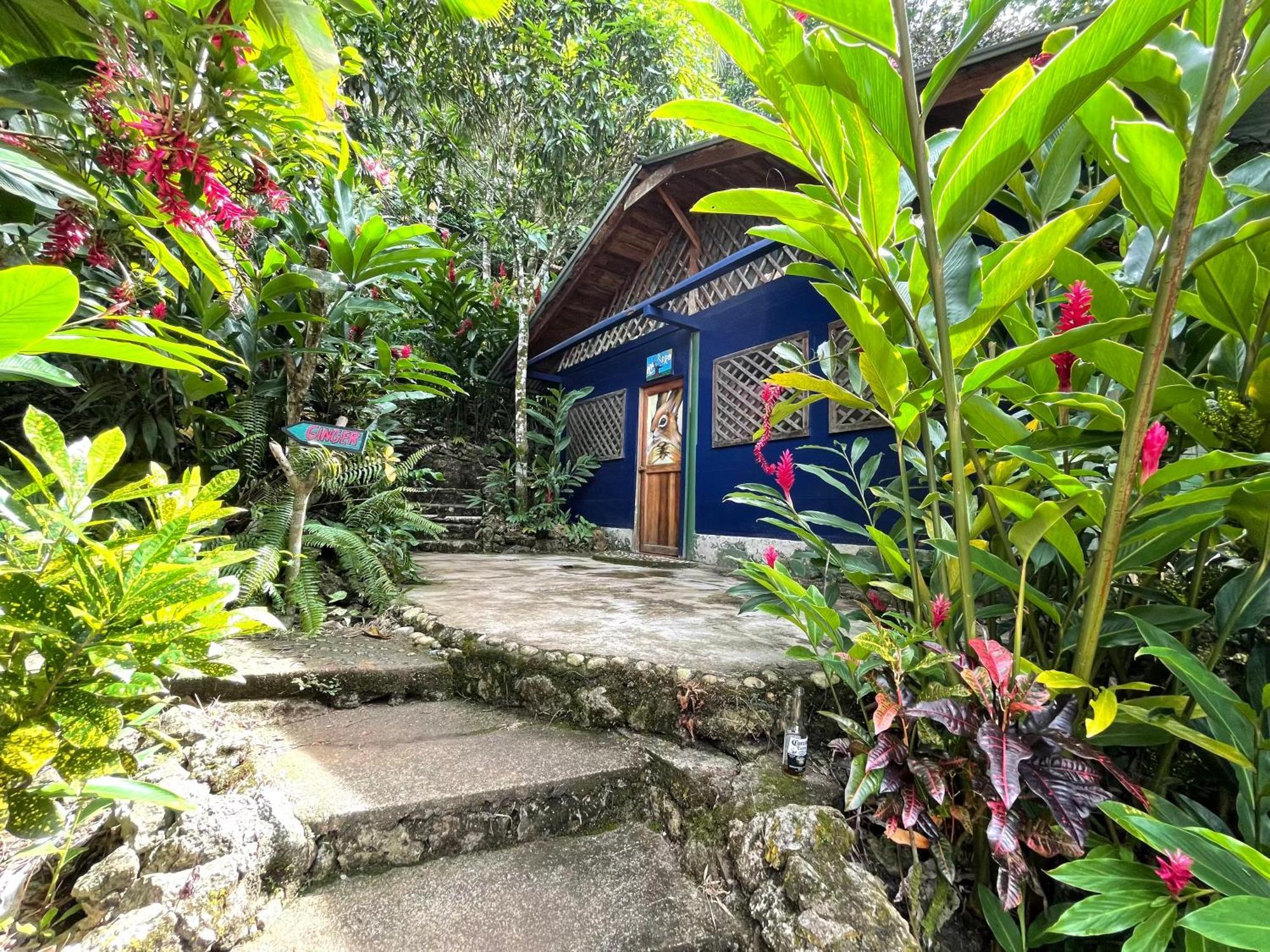 Palmeras Del Rio Hotel La Viña エクステリア 写真