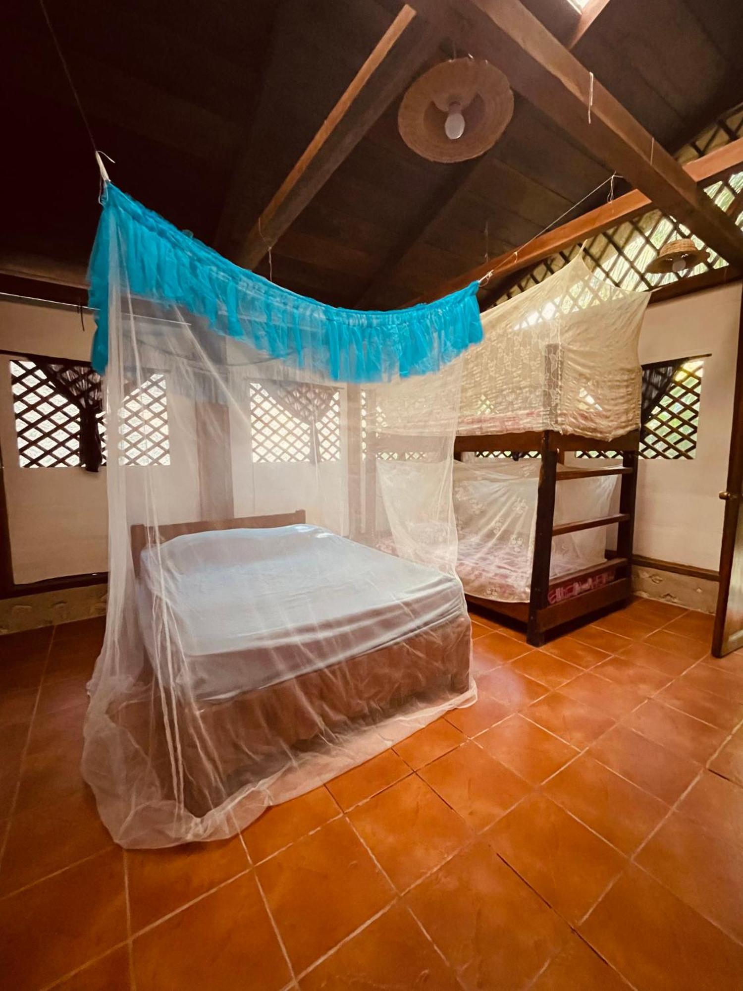 Palmeras Del Rio Hotel La Viña エクステリア 写真
