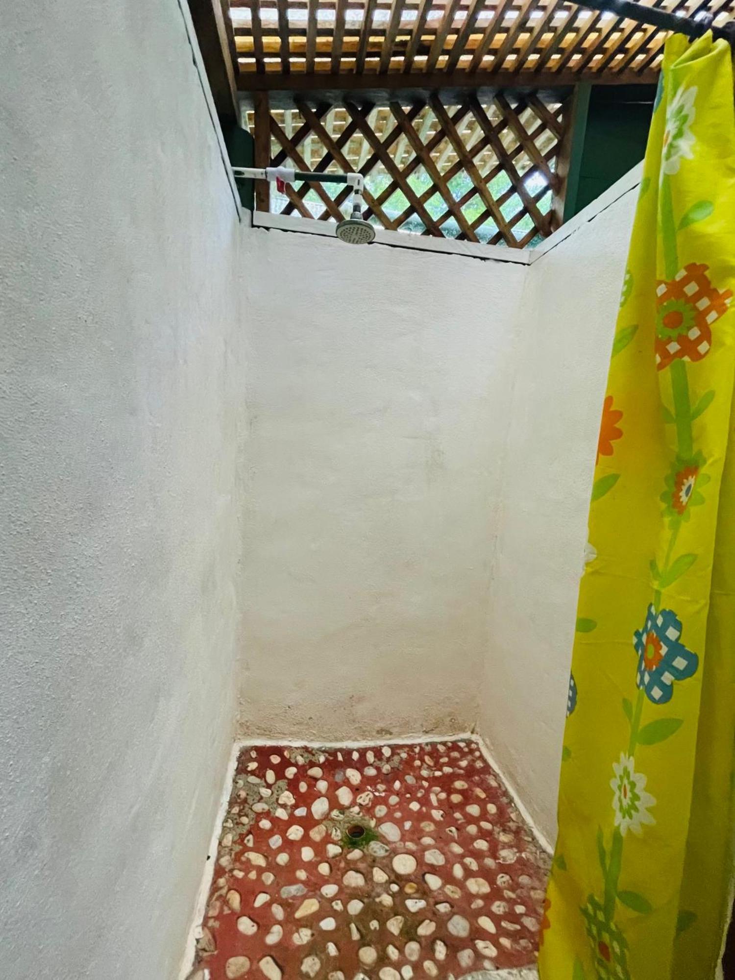 Palmeras Del Rio Hotel La Viña エクステリア 写真