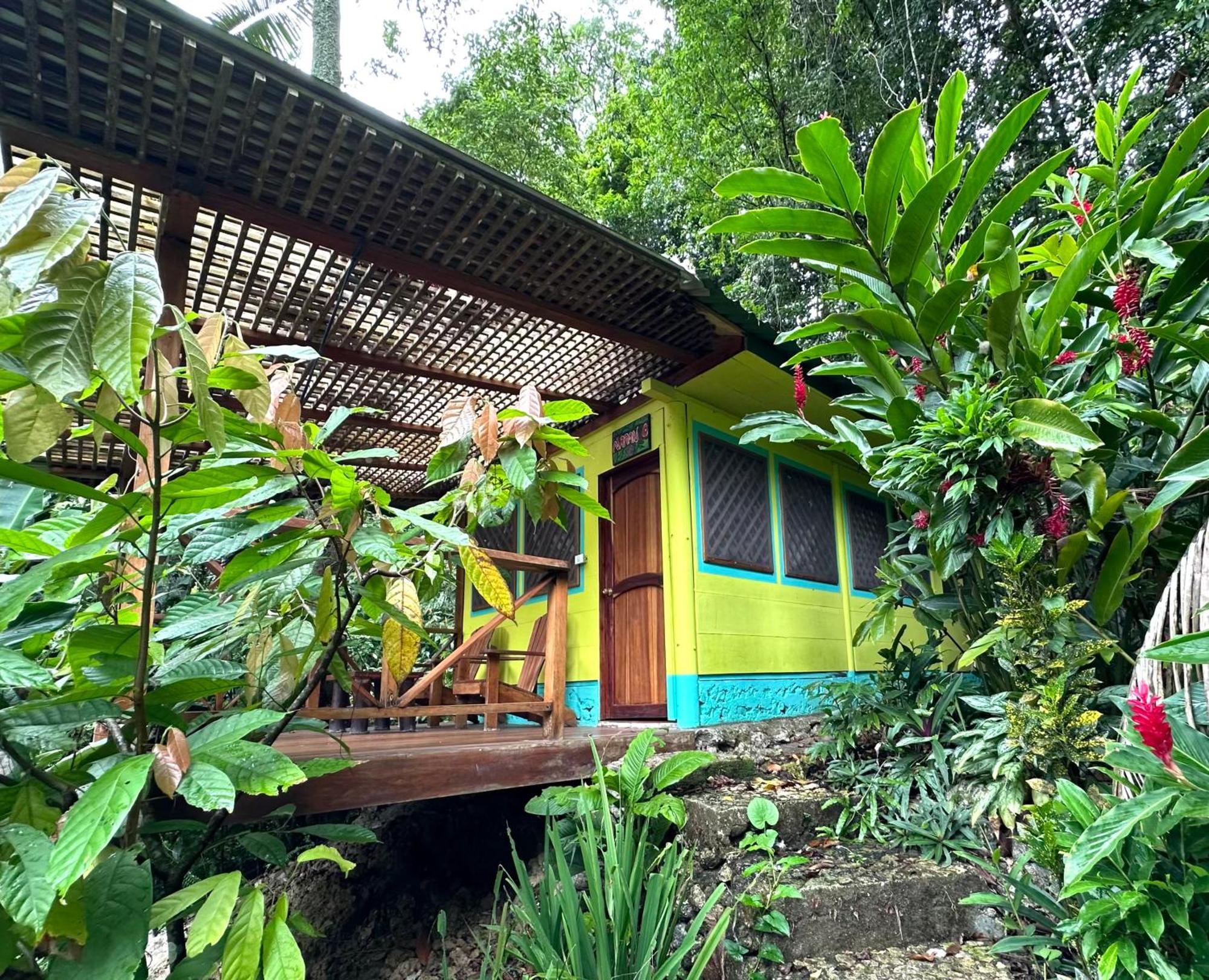 Palmeras Del Rio Hotel La Viña エクステリア 写真