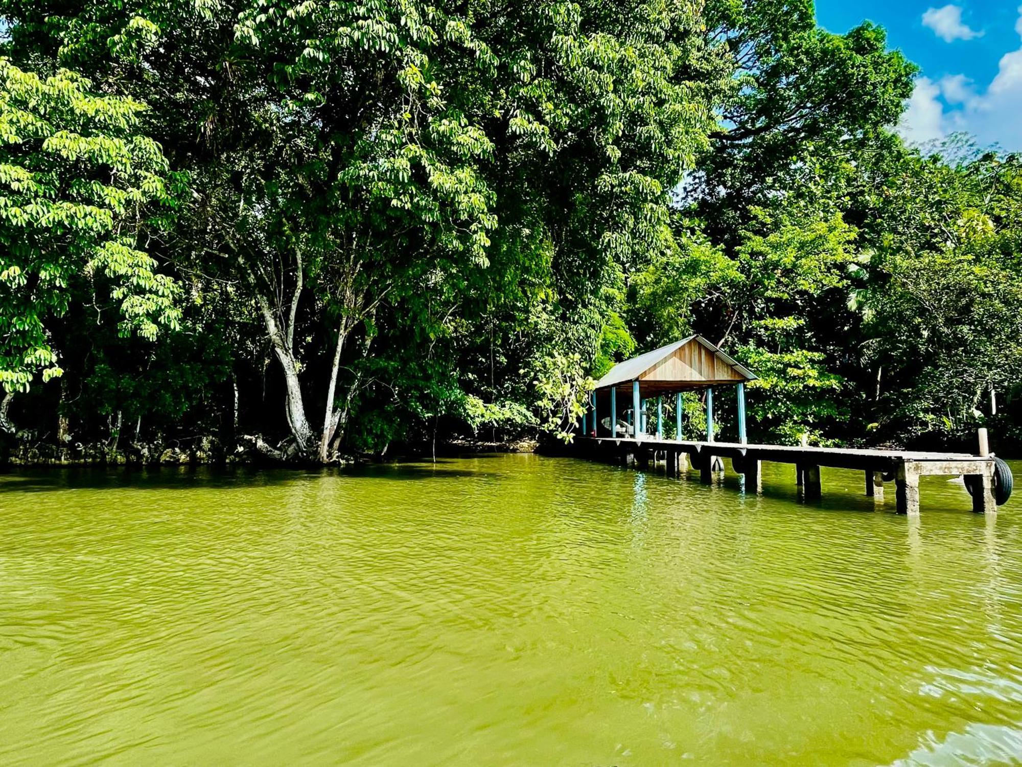 Palmeras Del Rio Hotel La Viña エクステリア 写真