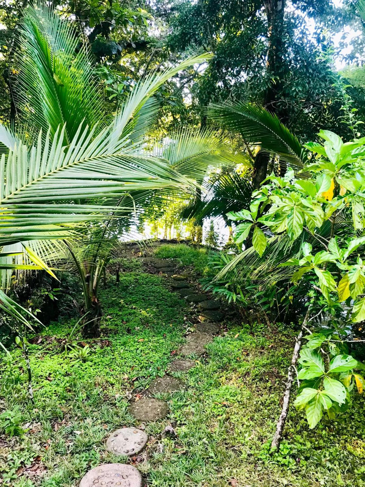 Palmeras Del Rio Hotel La Viña エクステリア 写真