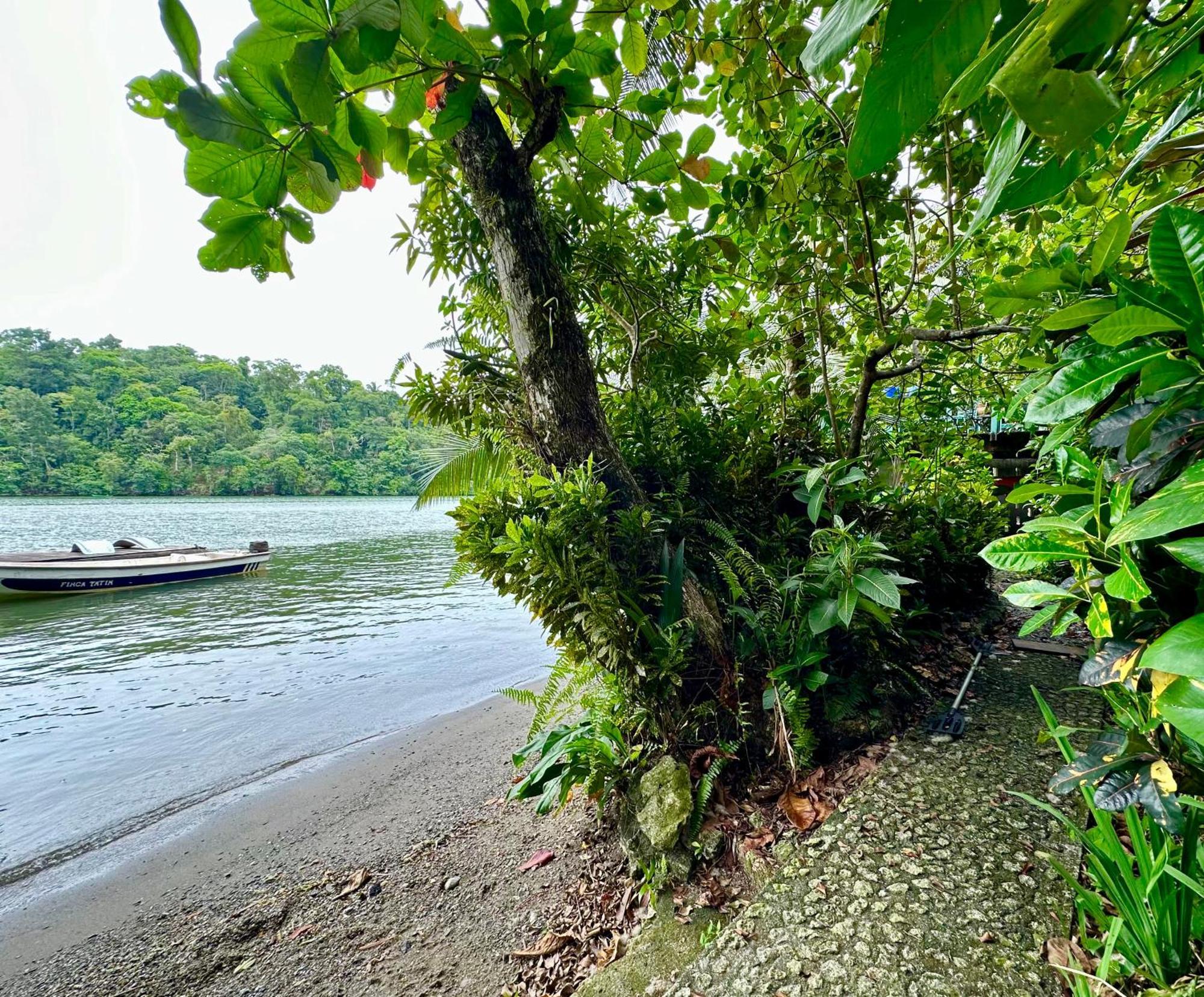 Palmeras Del Rio Hotel La Viña エクステリア 写真