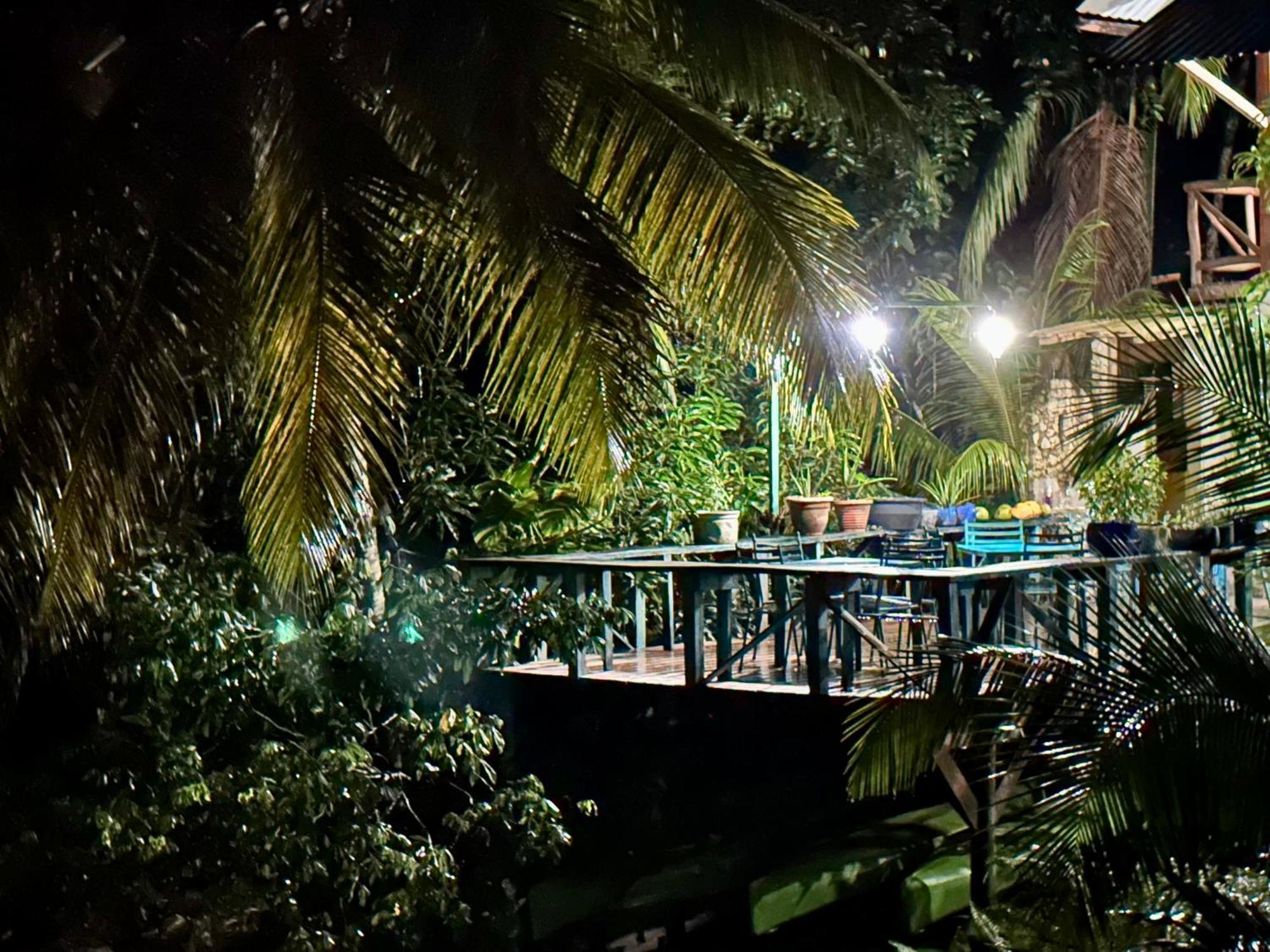 Palmeras Del Rio Hotel La Viña エクステリア 写真