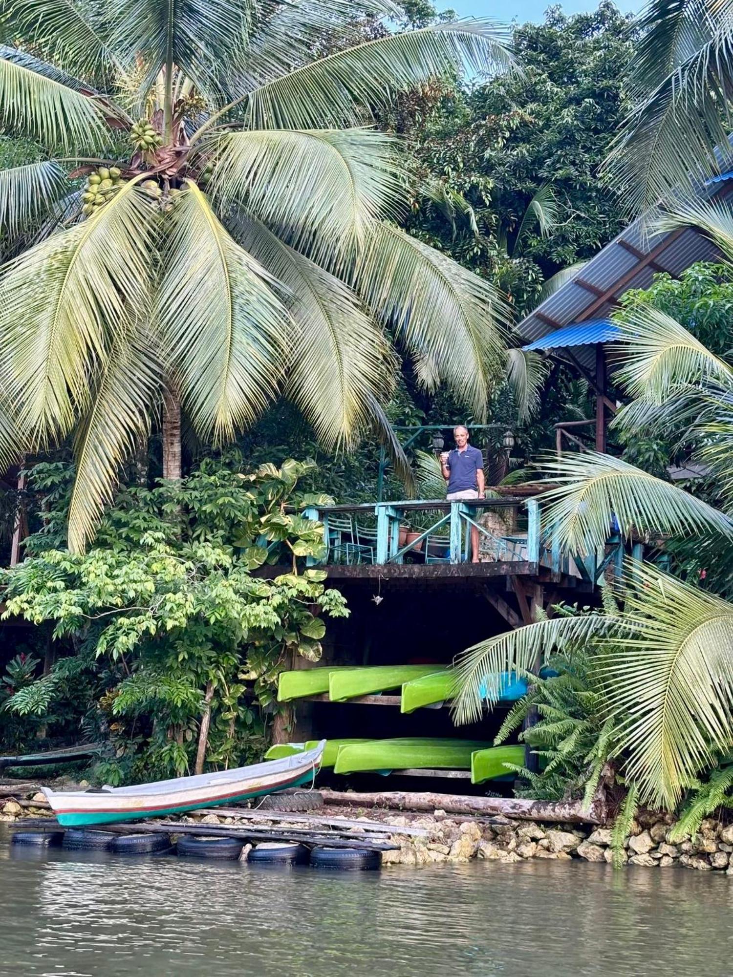 Palmeras Del Rio Hotel La Viña エクステリア 写真