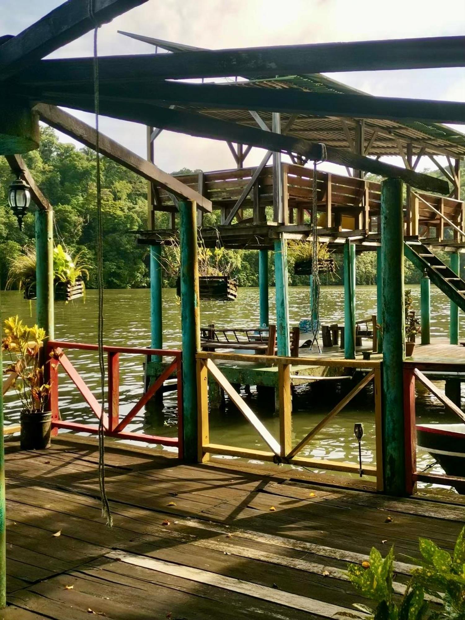 Palmeras Del Rio Hotel La Viña エクステリア 写真