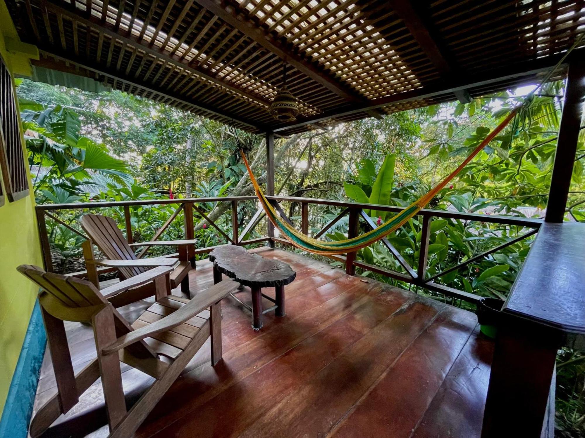 Palmeras Del Rio Hotel La Viña エクステリア 写真