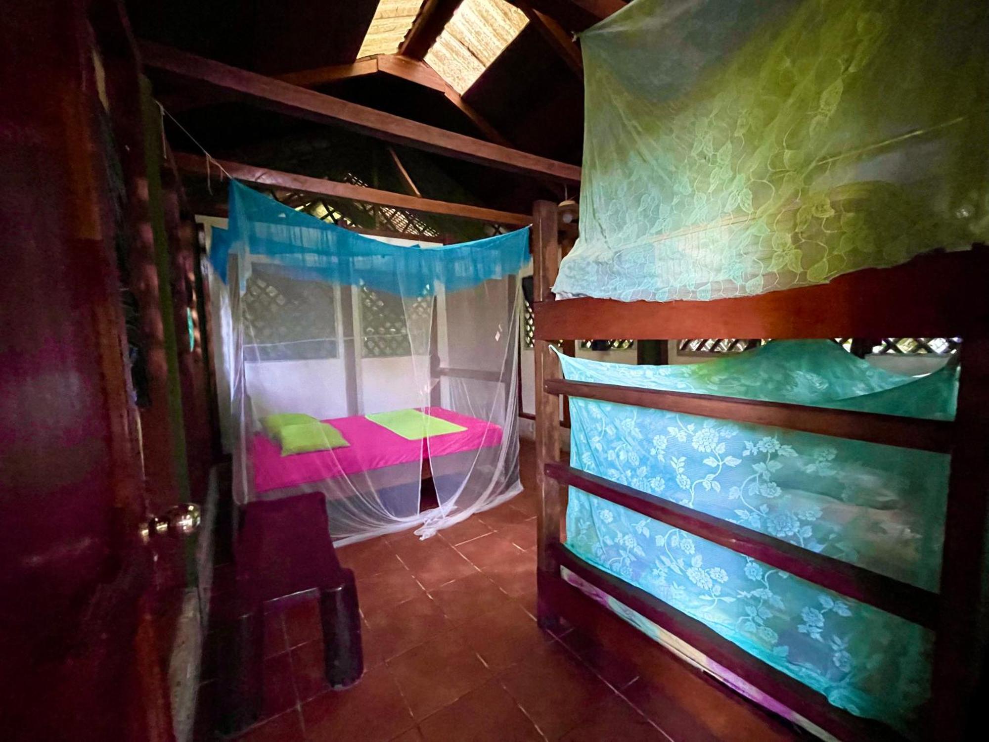 Palmeras Del Rio Hotel La Viña エクステリア 写真