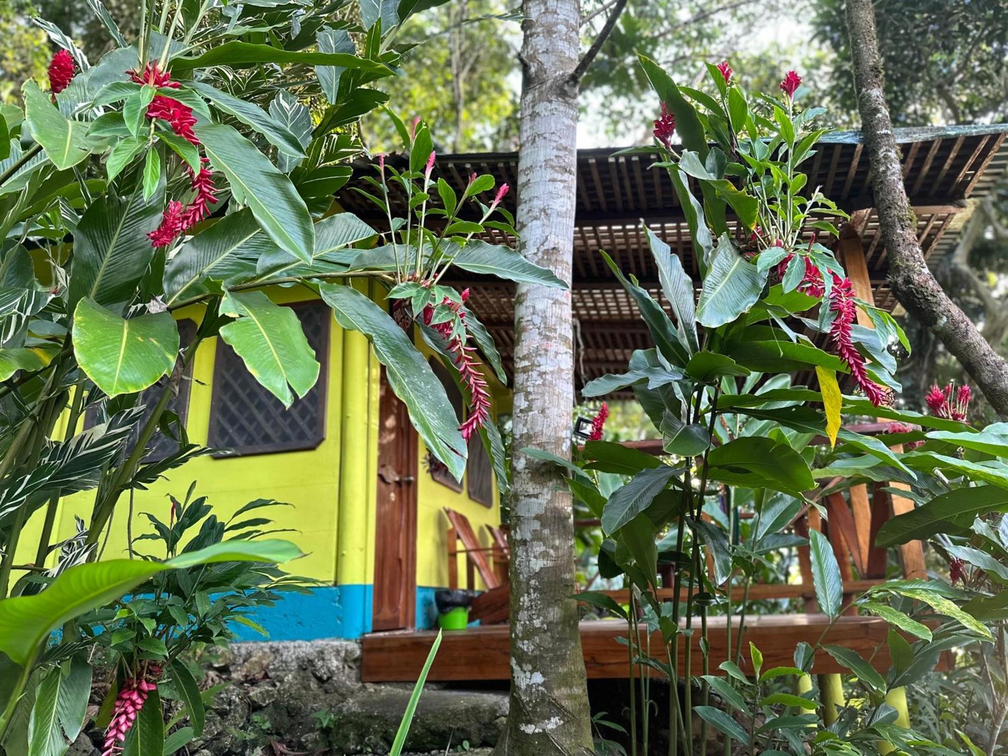 Palmeras Del Rio Hotel La Viña エクステリア 写真