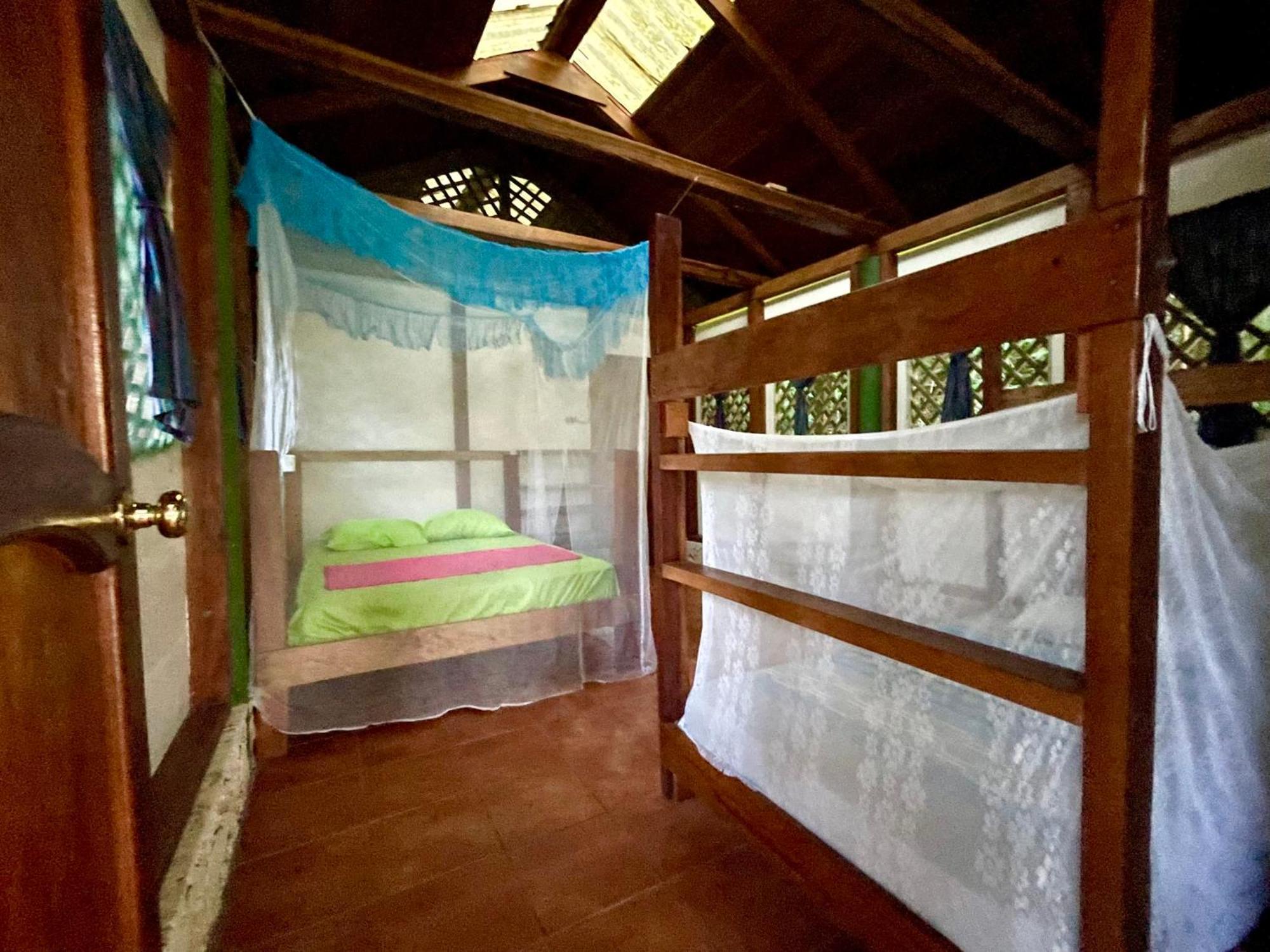 Palmeras Del Rio Hotel La Viña エクステリア 写真