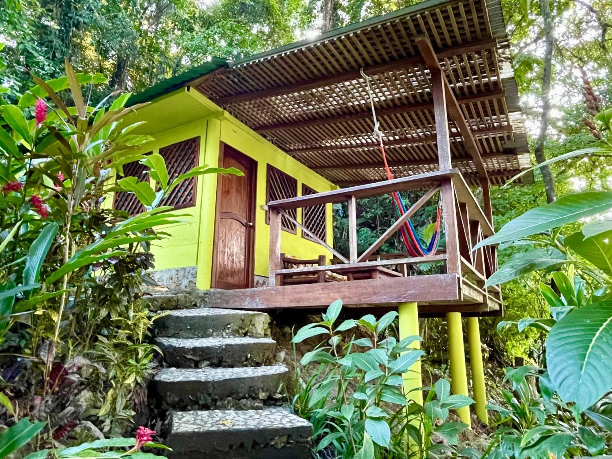 Palmeras Del Rio Hotel La Viña エクステリア 写真